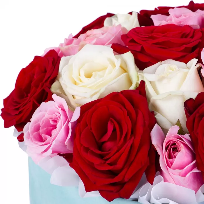 Букет из 21 разноцветной розы premium в зеленой бархатной шляпной коробке Букет из 21 разноцветной розы premium в зеленой бархатной шляпной коробке