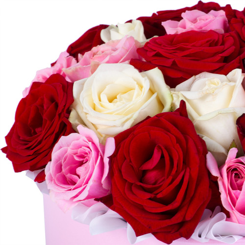 Букет из 21 разноцветной розы premium в розовой шляпной коробке