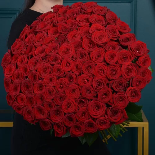 101 красная роза premium 60 см