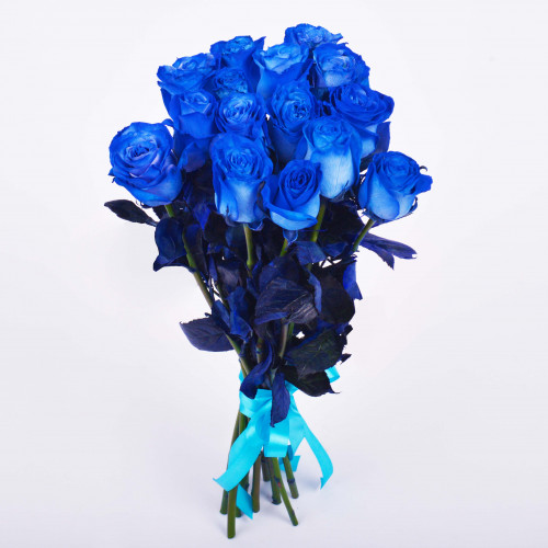 Монобукет из 15 синих роз Эквадор (Premium 60см)