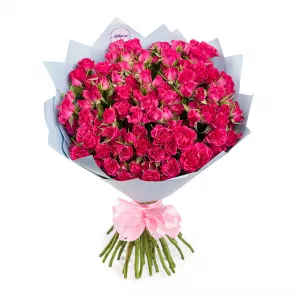 25 малиновых кустовых роз 
