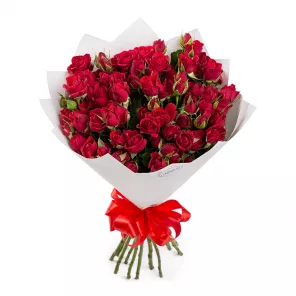 Букет из 19 красных кустовых роз