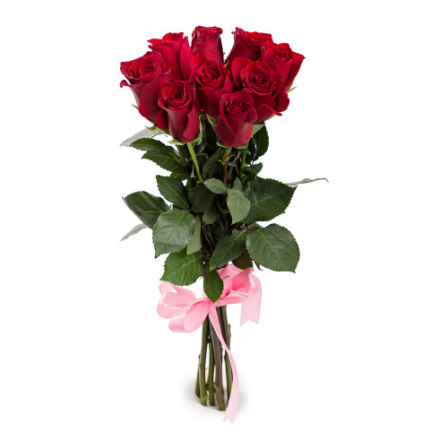 9 красных роз Эквадор 70 см