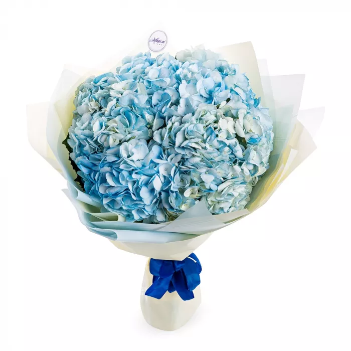 Букет из 7 голубых гортензий