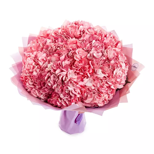 Букет из 15 розовых гортензий