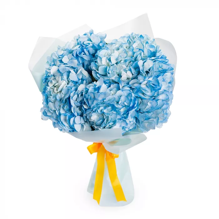 Букет из 5 голубых гортензий