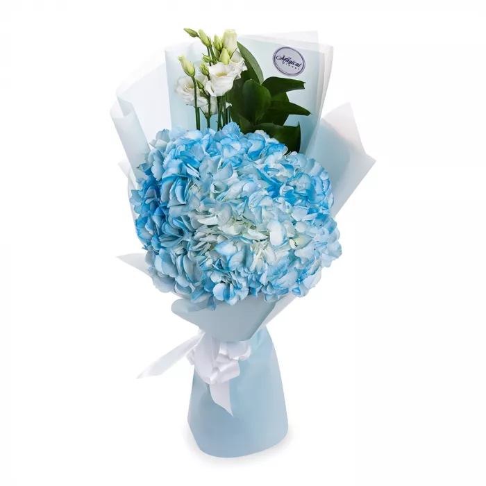 Букет из 1 синей гортензии