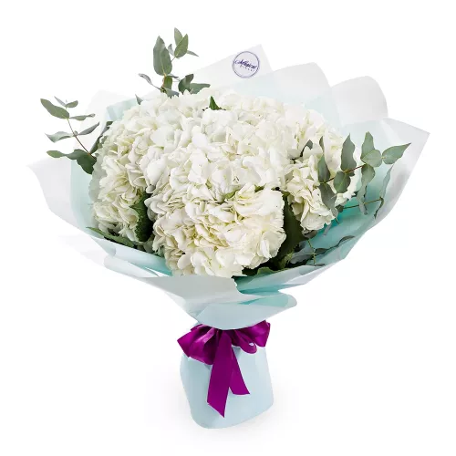 Букет из 5 гортензий и эвкалипта