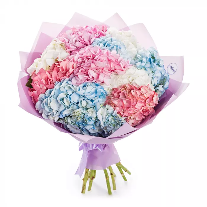 Букет из 11 разноцветных гортензий