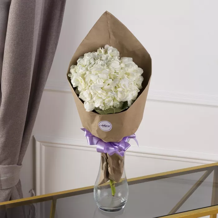 Букет из 1 белой гортензии в крафте