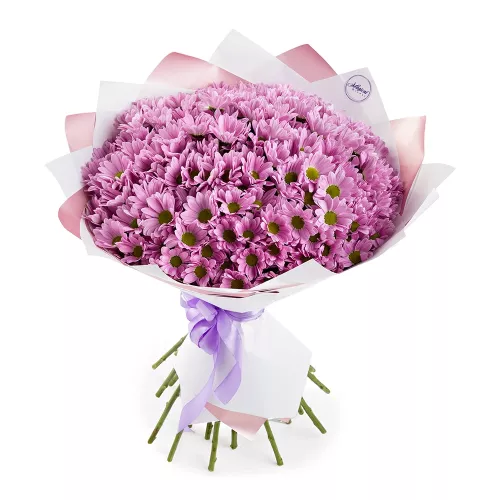 Букет из 25 сиреневых хризантем