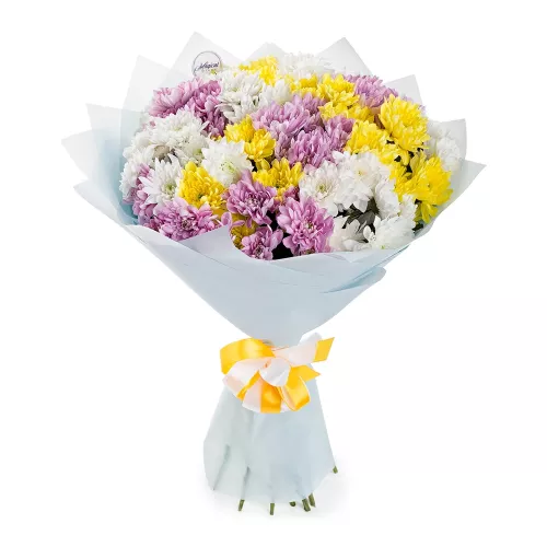 Букет из 15 разноцветных хризантем