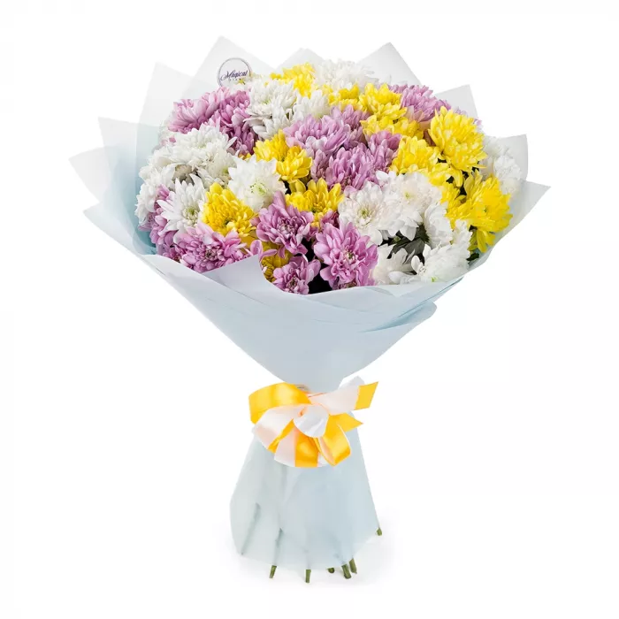 Букет из 15 разноцветных хризантем