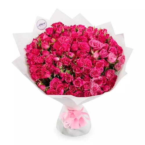 51 розовая кустовая роза