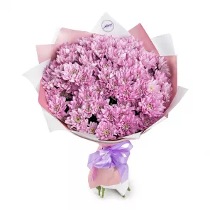 Букет из 15 сиреневых хризантем