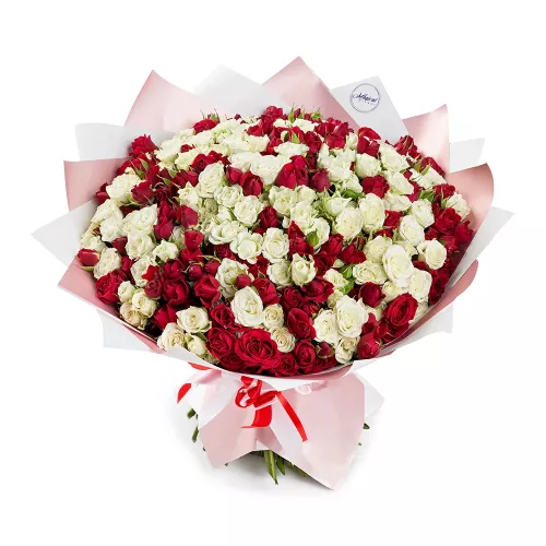 Красно-белый букет 101 кустовая роза