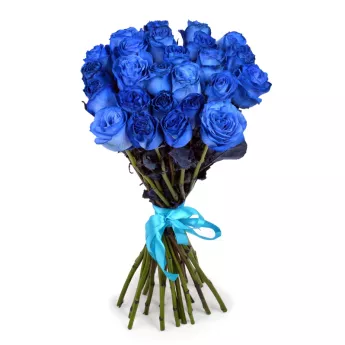 Букет из 25 синих роз Эквадор (Premium 60см) 
