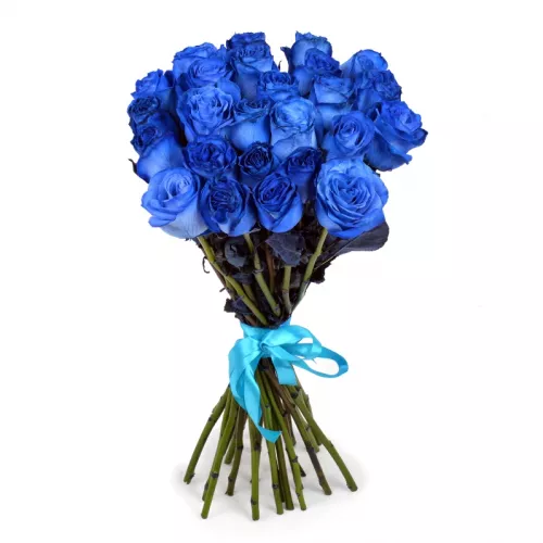 Букет из 25 синих роз Эквадор (Premium 60см)
