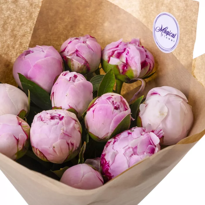 Букет из 11 розовых пионов