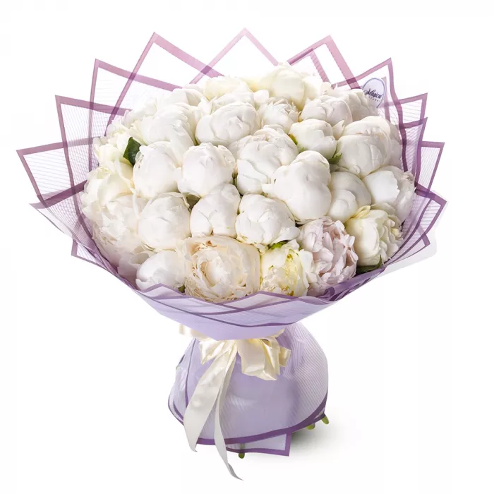 Букет из 31 белого пиона