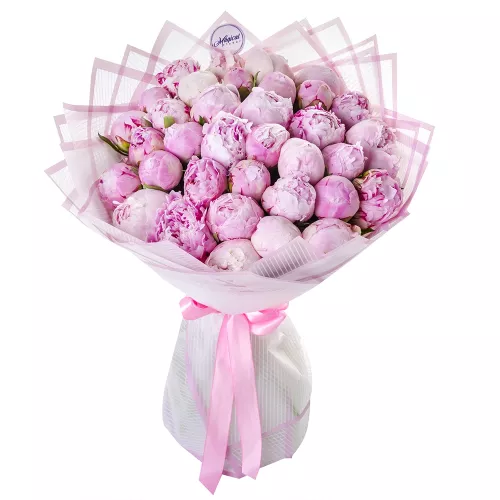 Букет из 35 розовых пионов