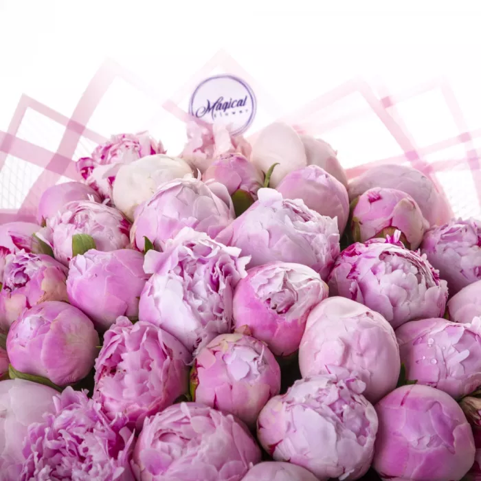 Букет из 35 розовых пионов