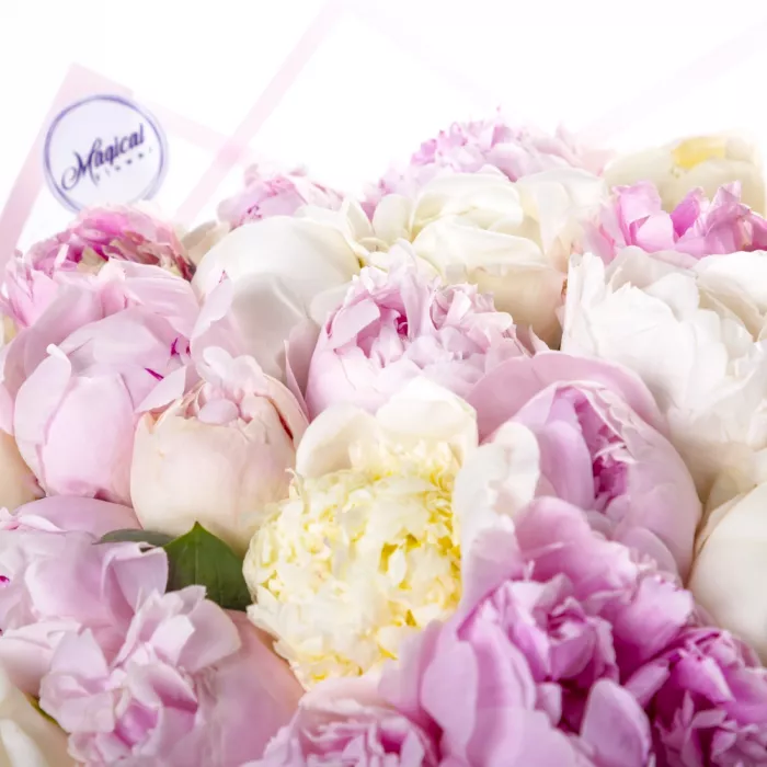 Букет из 35 разноцветных пионов