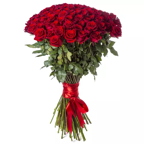 Гигантский букет из 101 красной розы Эквадор 100 см