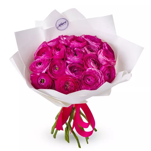 Букет из 19 малиновых ранункулюсов