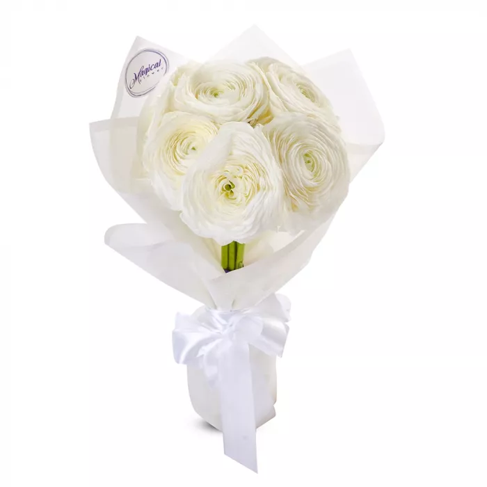 Букет из 7 белых ранункулюсов