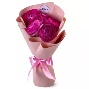 Букет из 5 малиновых ранункулюсов