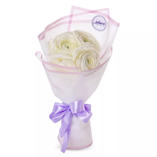 Букет из 5 белых ранункулюсов