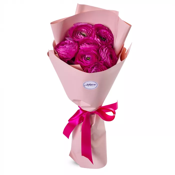 Букет из 7 малиновых ранункулюсов