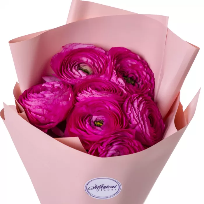 Букет из 7 малиновых ранункулюсов