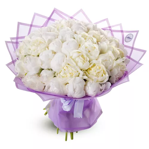 Букет из 51 белого пиона