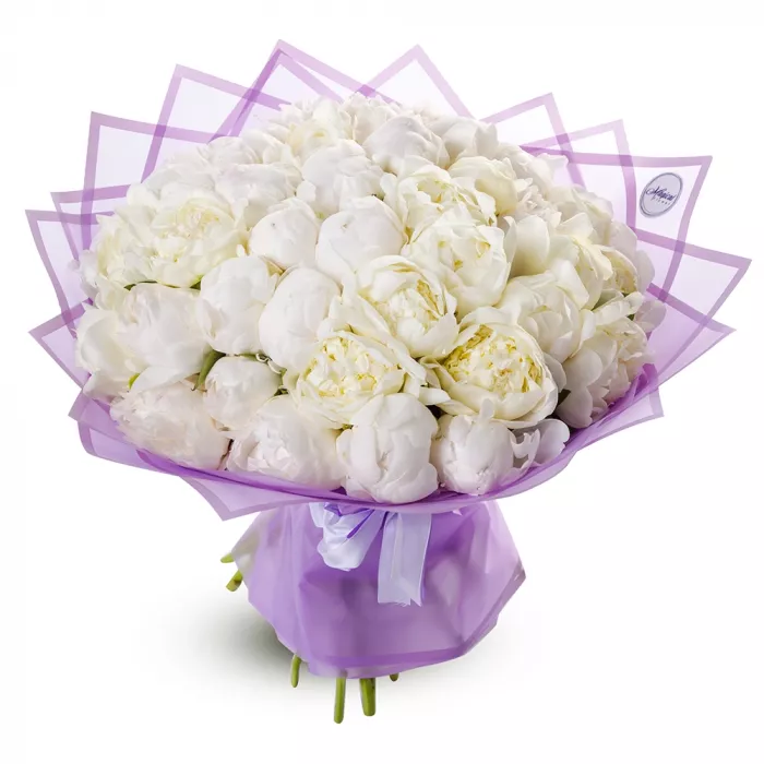 Букет из 51 белого пиона
