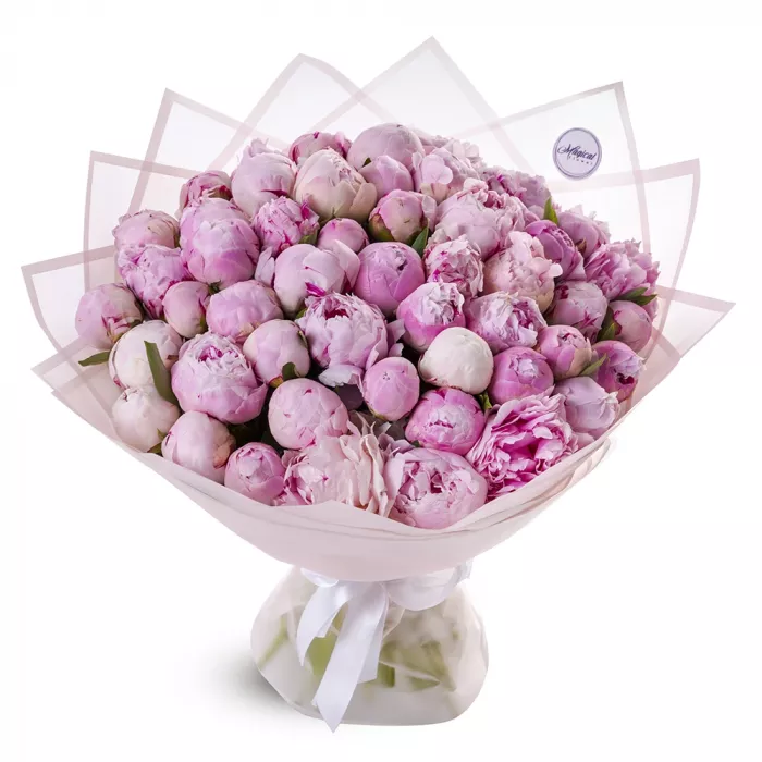 Букет из 51 пиона