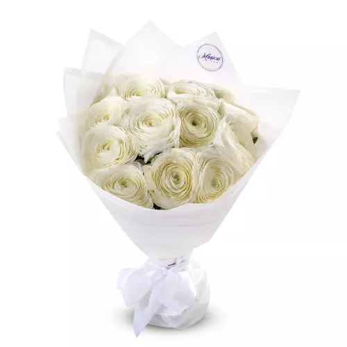 Букет из 15 белых ранункулюсов