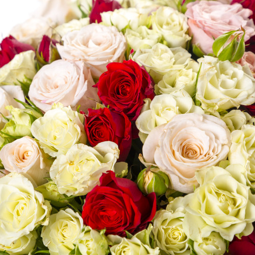 Букет на День матери из 33 разноцветных роз