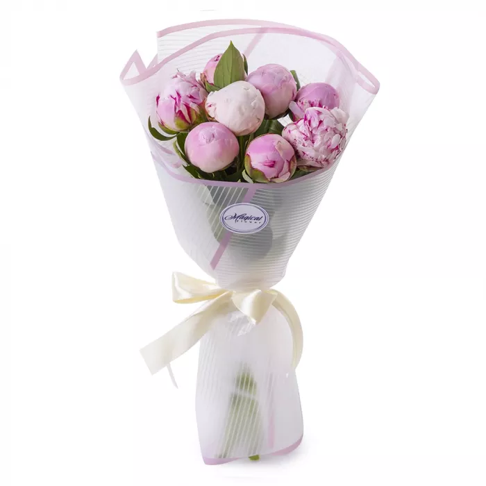 7 розовых пионов