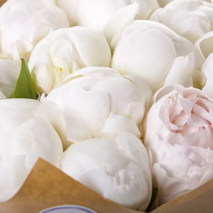 Букет из 11 белых пионов в крафте - клубника в шоколаде в подарок!