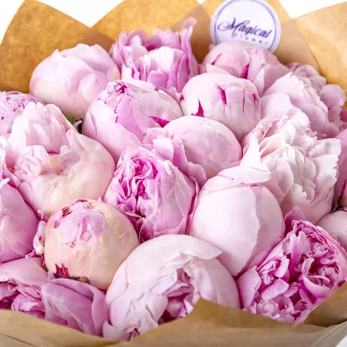 Букет из 19 розовых пионов с днем рождения