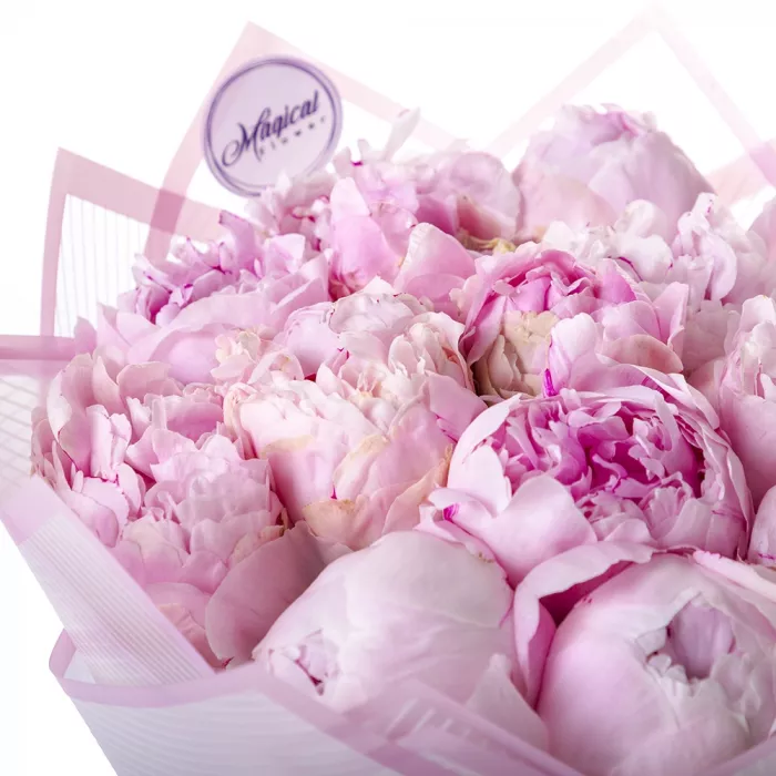 Букет из 15 розовых пионов