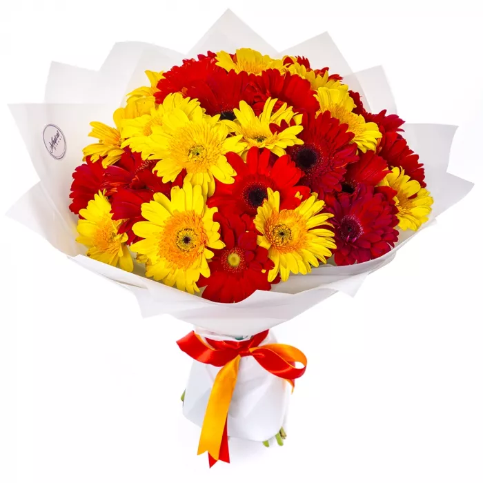 Букет из 29 разноцветных гербер Букет из 29 разноцветных гербер