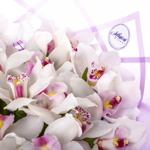 Букет из 25 белых орхидей