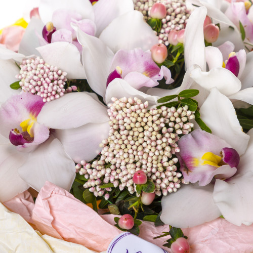 Букет на День матери из орхидей и озотамнуса