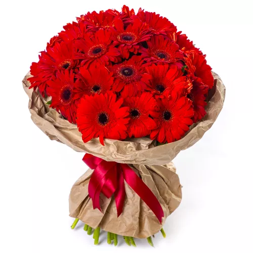 Букет из 35 красных гербер