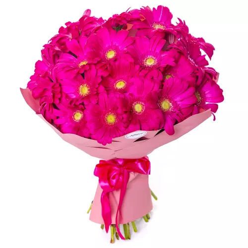 Букет из 19 малиновых гербер