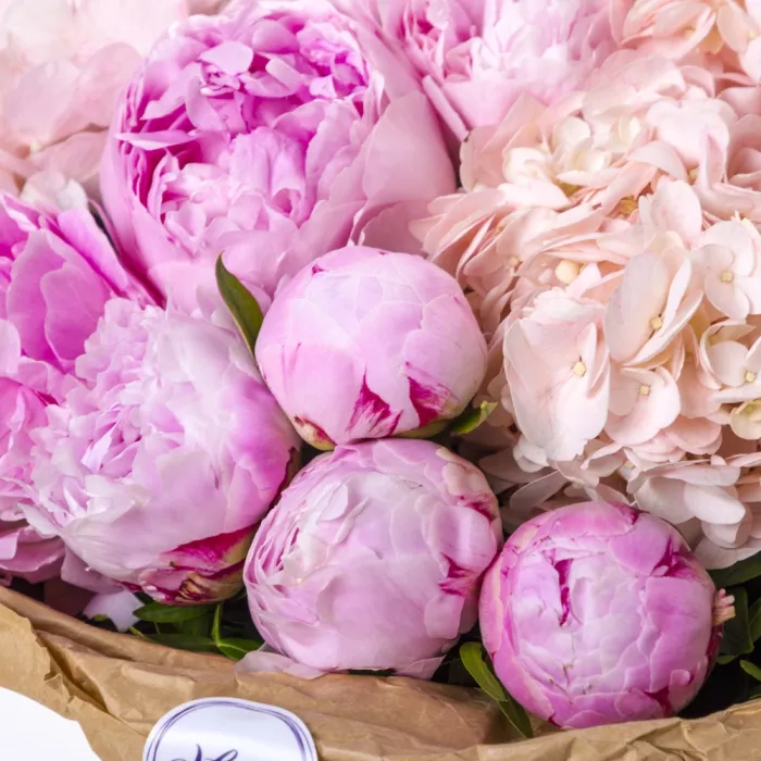 Букет из пионов и гортензий