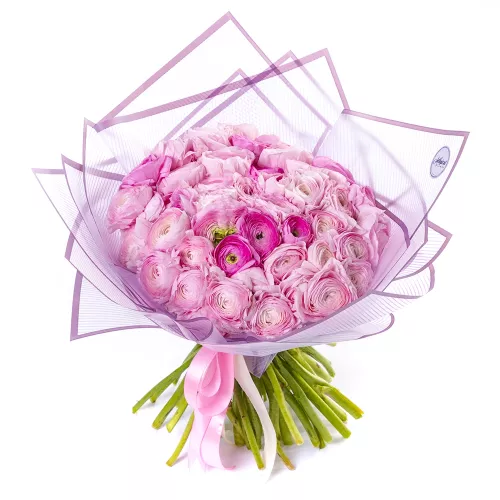 51 розовый ранункулюс